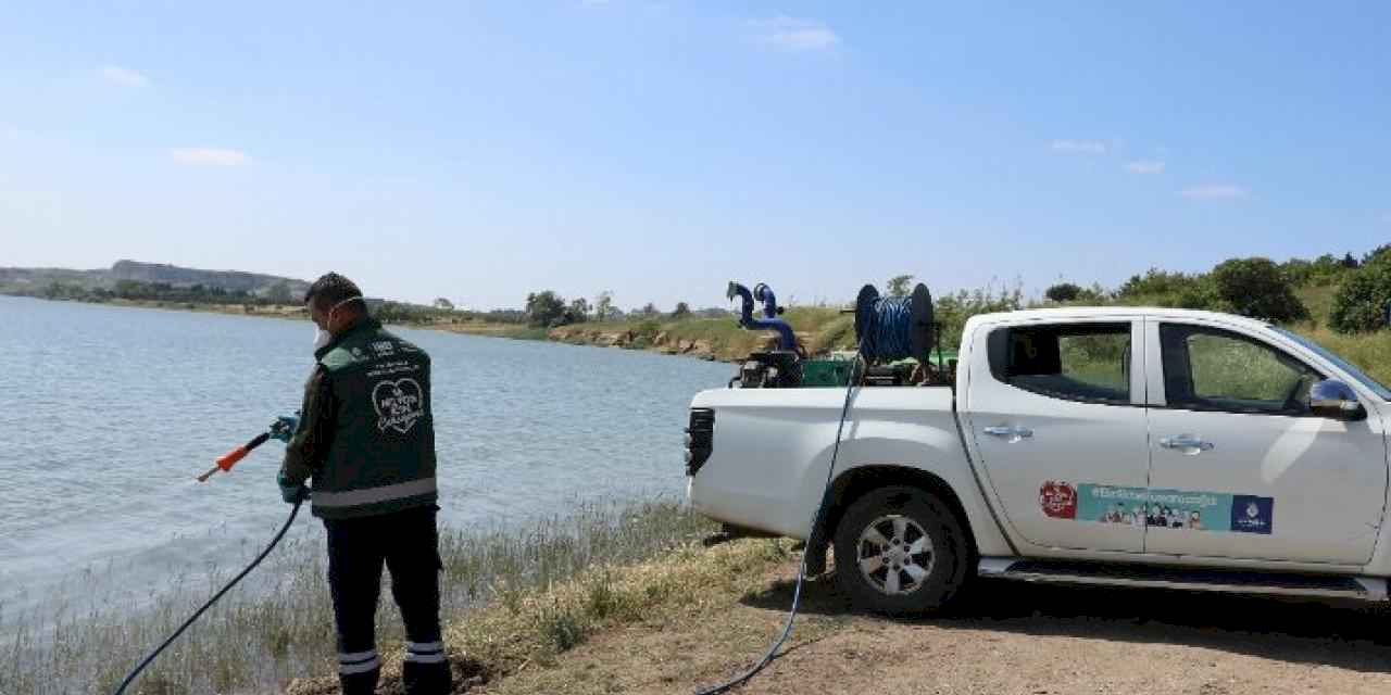İstanbul'a sivrisineklerle mücadele çalışmaları yoğunlaştı
