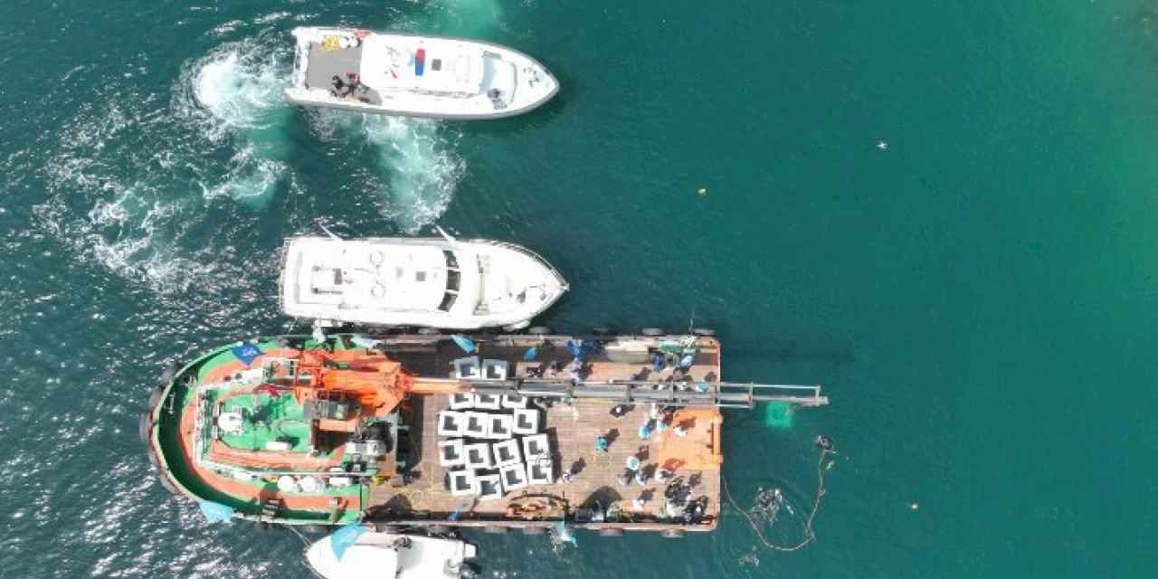Kocaeli'de balıkçılığa yapay resif desteği... İlk resifler bırakıldı