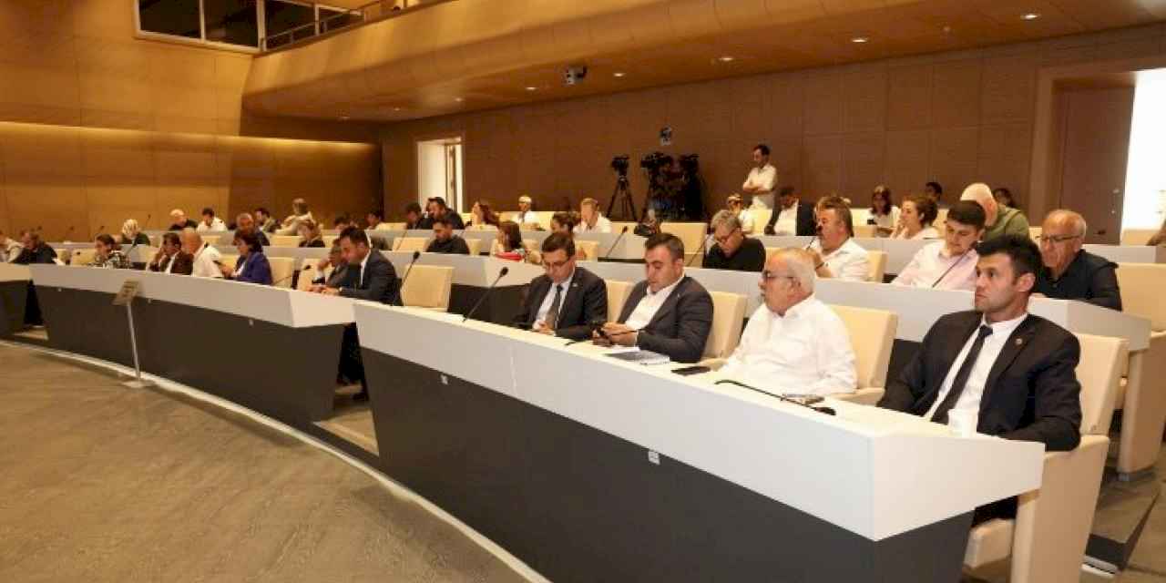 Nilüfer'de sokak hayvanlarının sorunlarına ‘komisyon’ eli