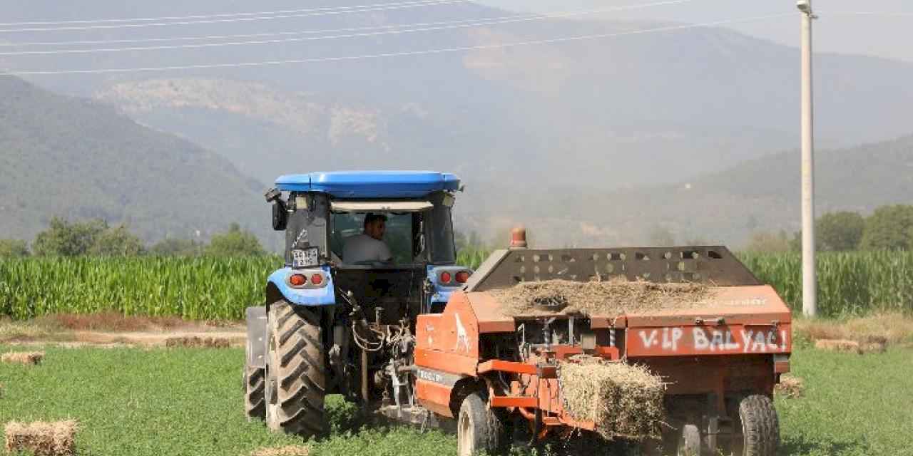 Muğlalı üreticinin yüzü gülüyor