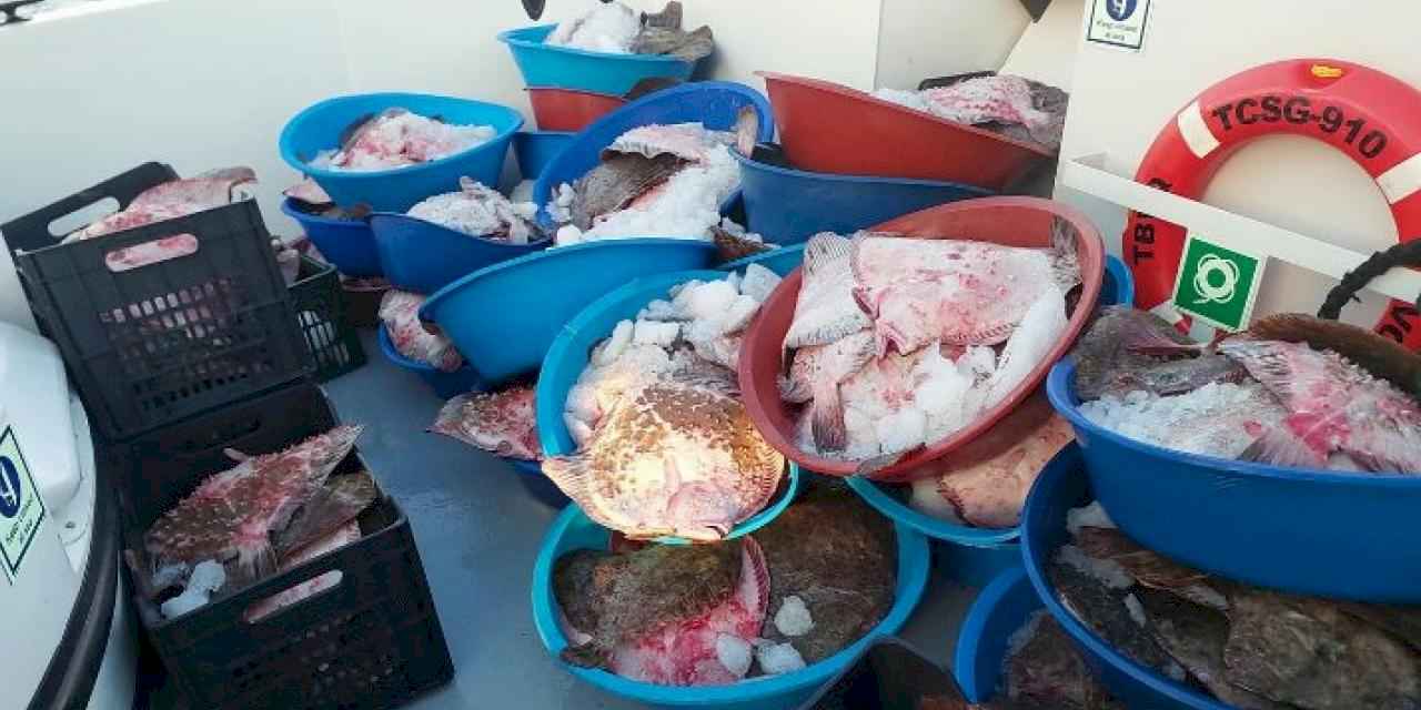 Şile’de kaçak avcılık operasyonu