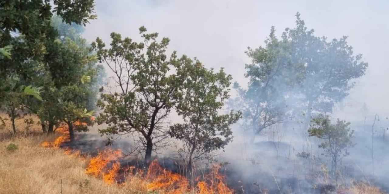 Manisa'da ormanlık alanı tehdit eden yangın