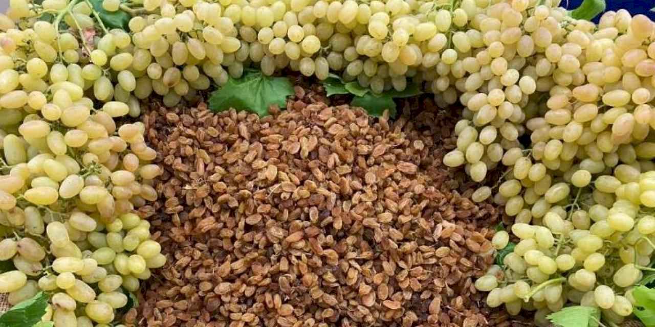 Egeli kuru meyve ihracatçıları TİM ilk 1000'e damga vurdu