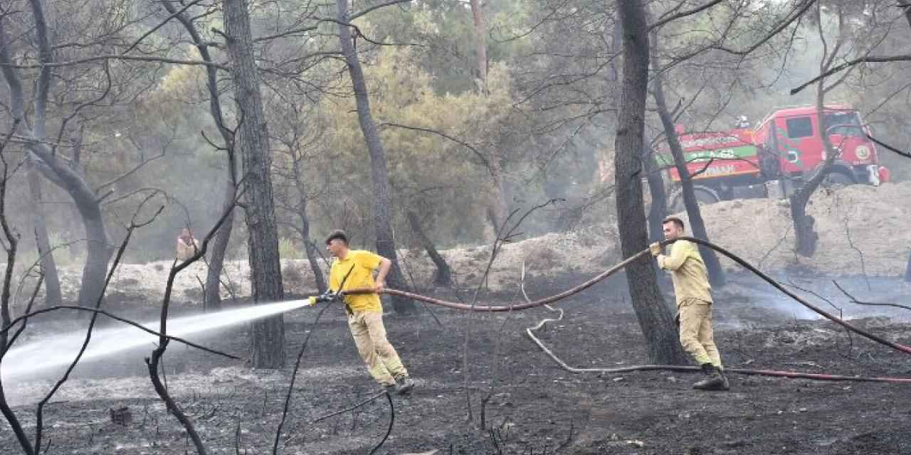 Manisa İtfaiyesi'nin yangın mücadelesi sürüyor