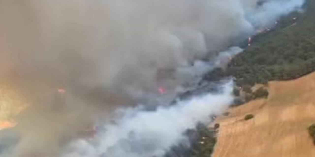 Çanakkale Eceabat'ta yangına müdahale sürüyor!