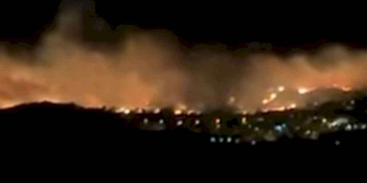 İzmir Dikili'de korkutan yangın