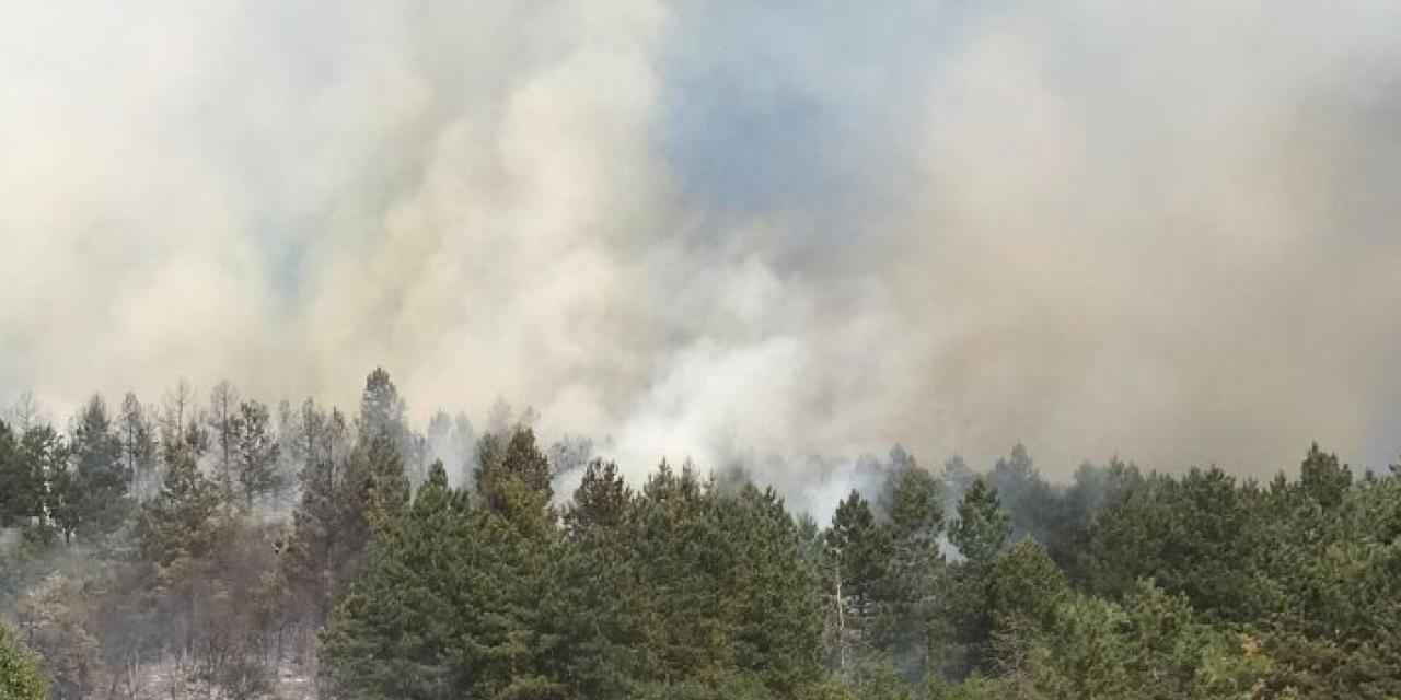 Spil'deki yangın kontrol altında