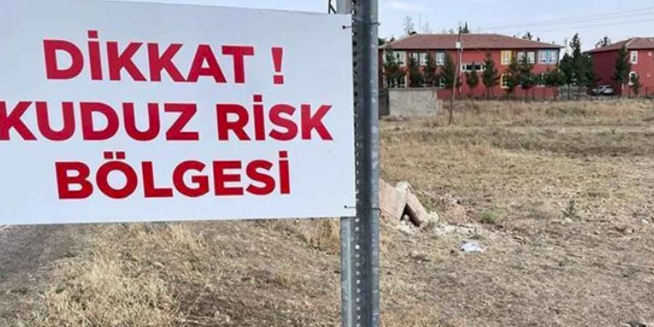 Niğde'de kuduz karantinası!