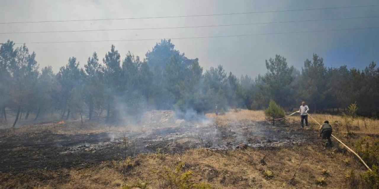 Bursa Büyükorhan'da yangın kabusu