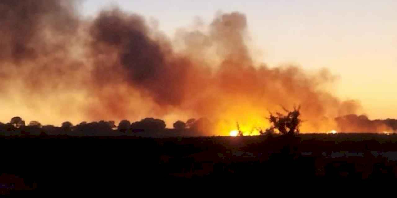 İpsala’da 100 dekar buğday tarlası yandı