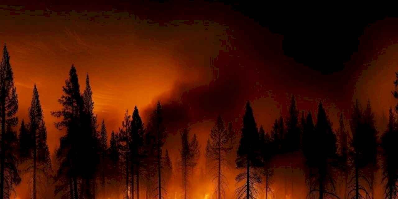 Türkiye’de yangınların yüzde 40’ı İzmir, Muğla, Antalya ve Çanakkale’de