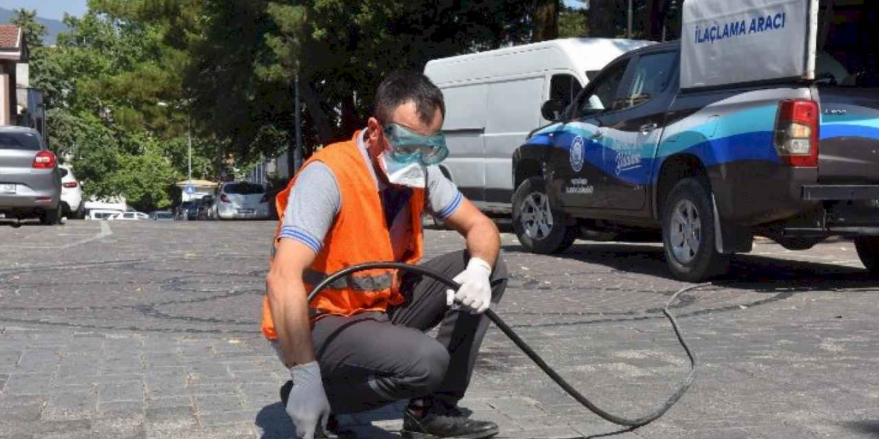 Yıldırım’da ilaçlama çalışmaları sürüyor