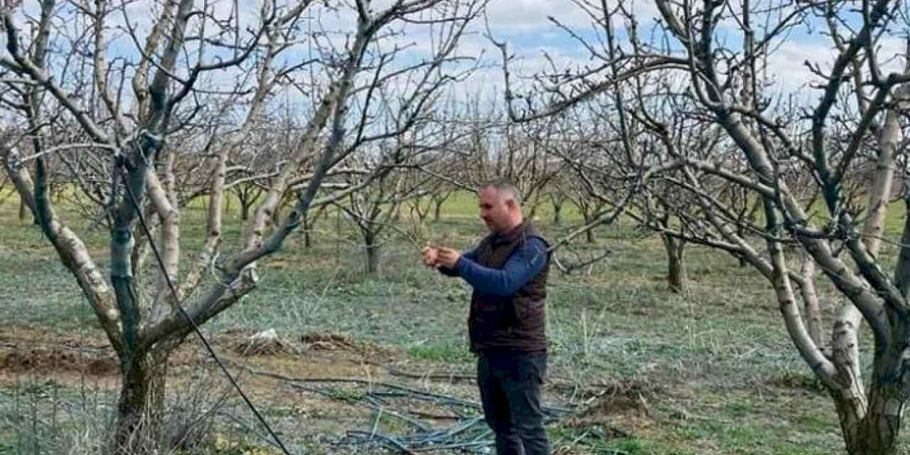 Devlet destekli tarım sigortalarında büyük artış