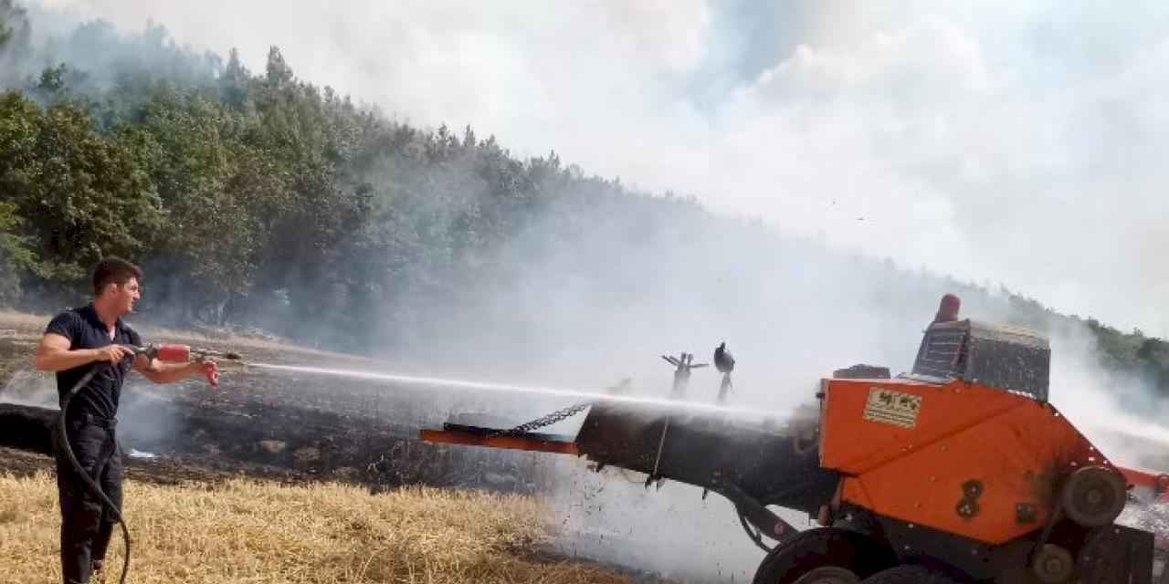 Edirne'de anız yangını ormana sıçradı