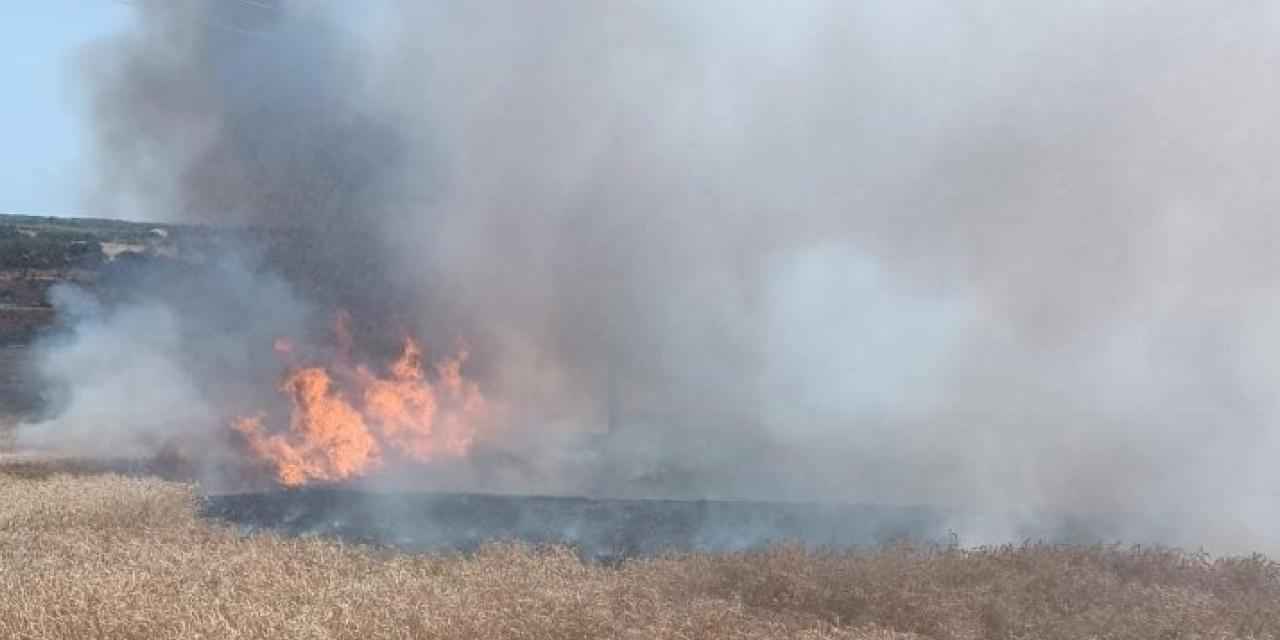 Enez'de buğday tarlasında yangın!