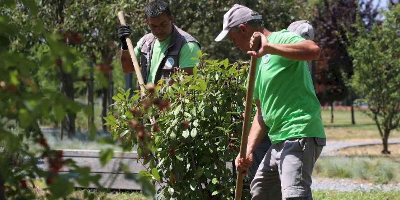 Sakarya’nın dört bir yanında estetik çalışmalar