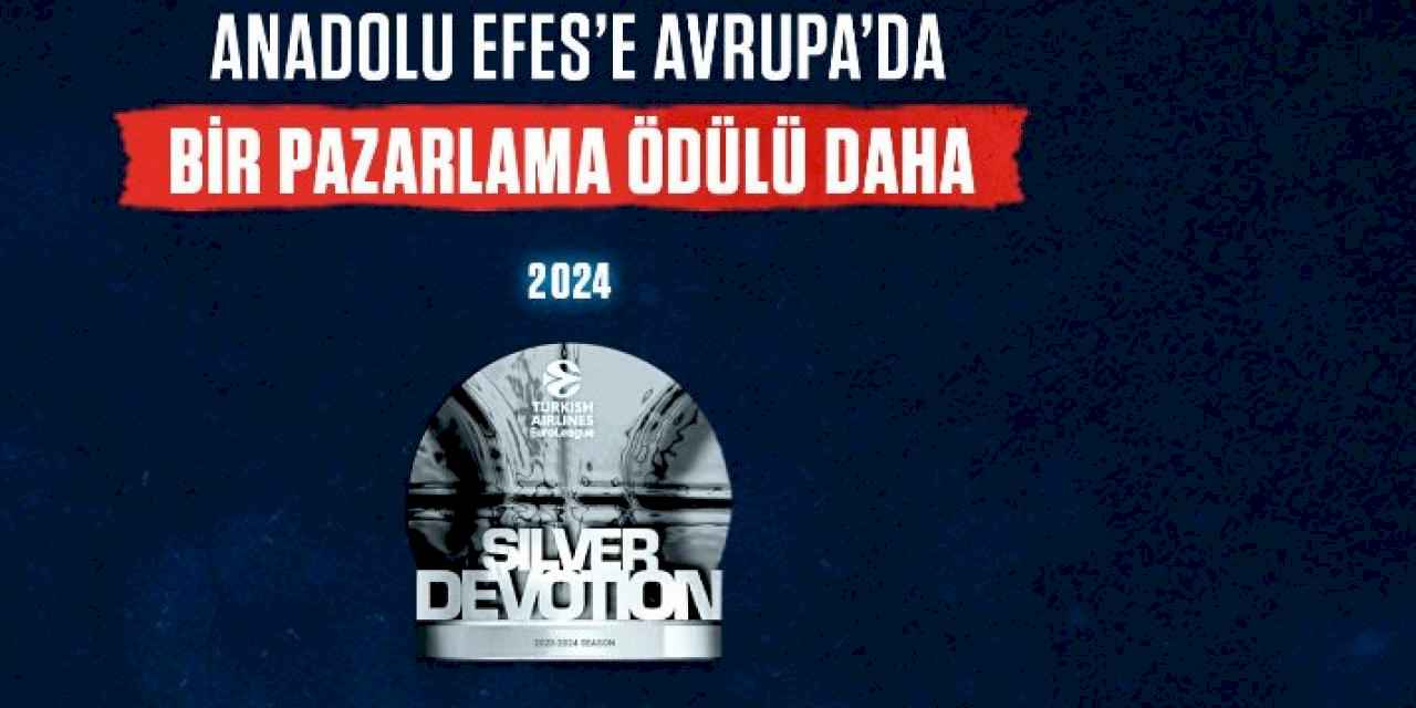 Anadolu Efes'e 6 sezon üst üste ödül