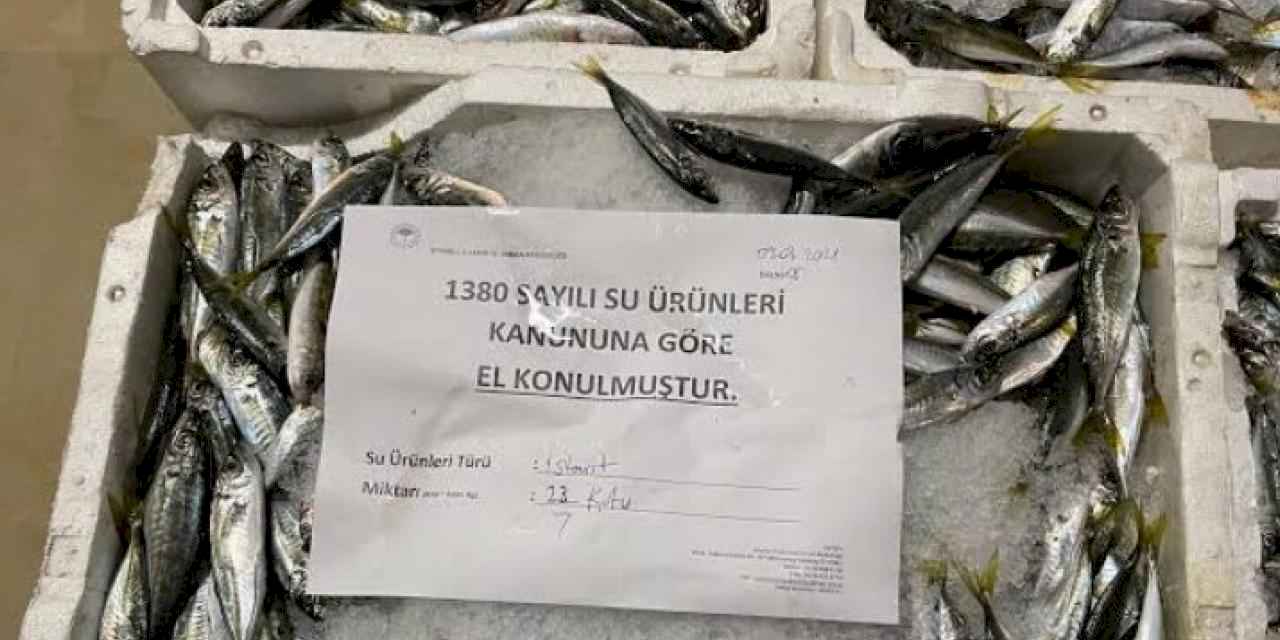 Yediemin'deki su ürünlerini kaçıranlara hapis cezası!