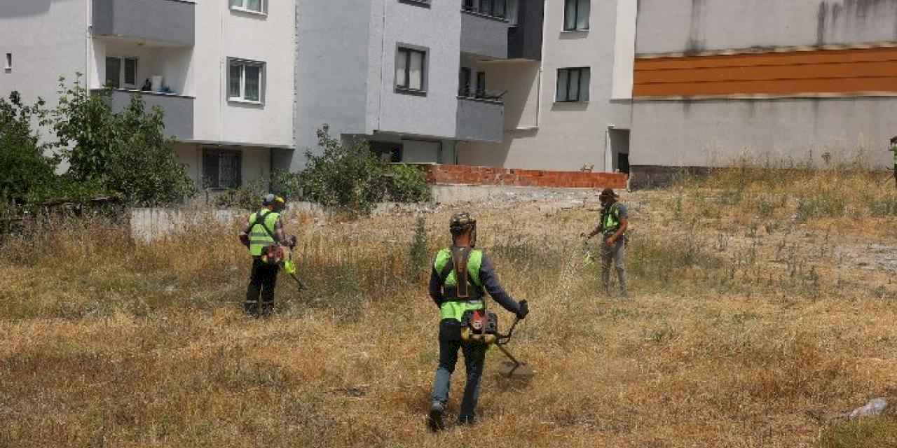 Çayırova’da yabani otlar temizleniyor