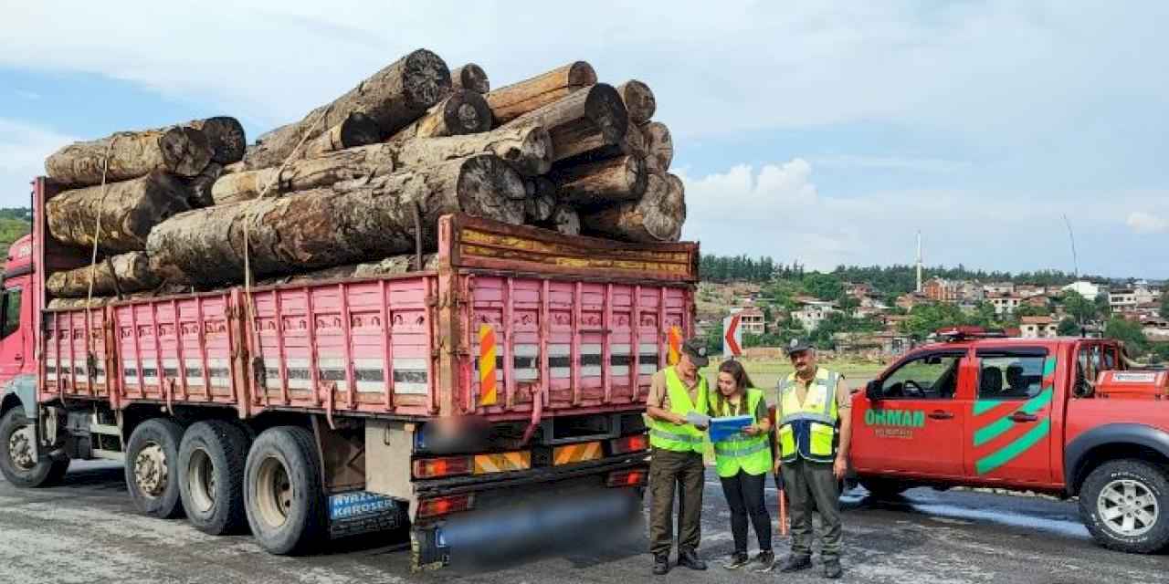 Bursa İnegöl'de orman ürünü taşıyan kamyonlara denetim