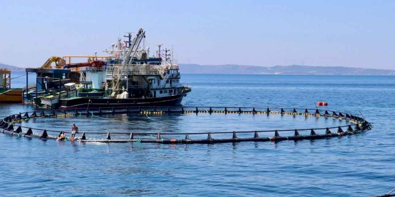 Orkinos çiftlikleri İzmir'den dünyaya açılıyor