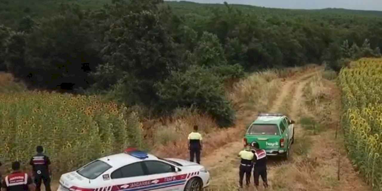 Edirne Keşan'da ormanlara drone ile denetim