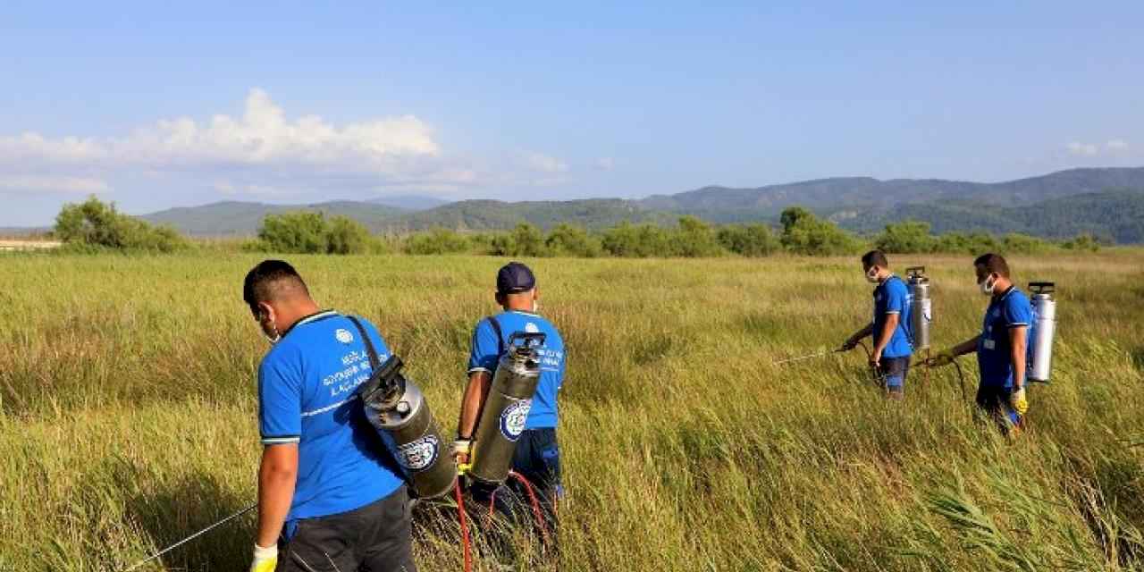 Muğla’da vektörle mücadeleye devam