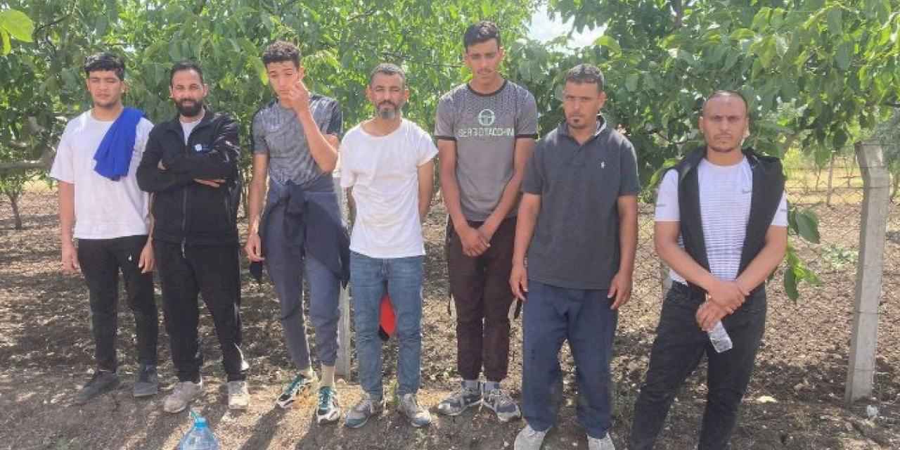 Edirne'de 7 göçmen yakalandı