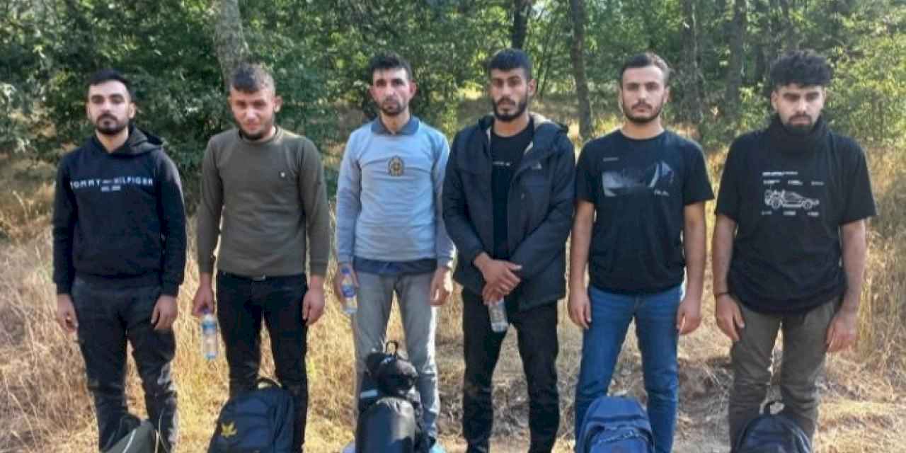 Edirne'de 16 göçmen yakalandı