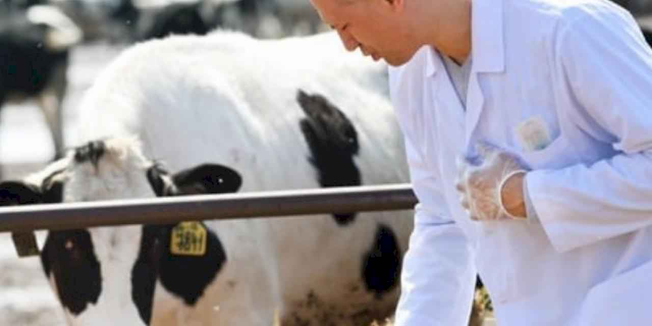 Tarımsal girdi aylık ve yıllık arttı!