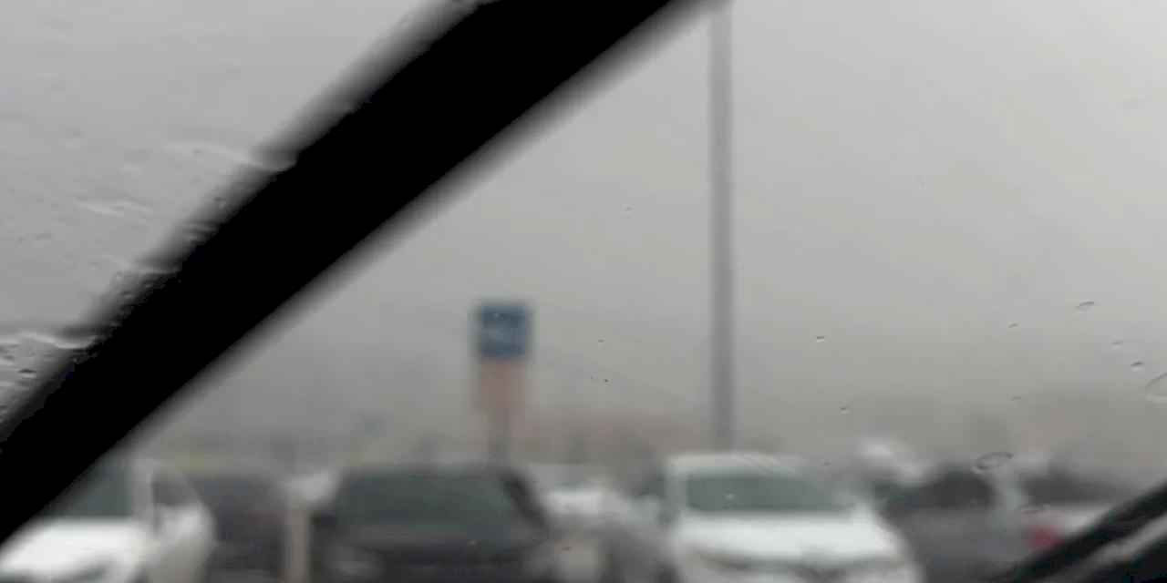 Bolu Dağında sağanak yağış etkili oldu