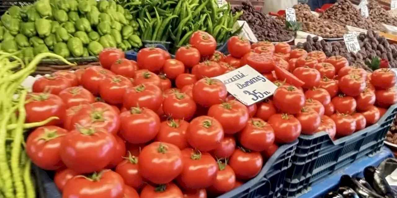 Pazar fiyatlarındaki düşüş, domatese de yansıdı