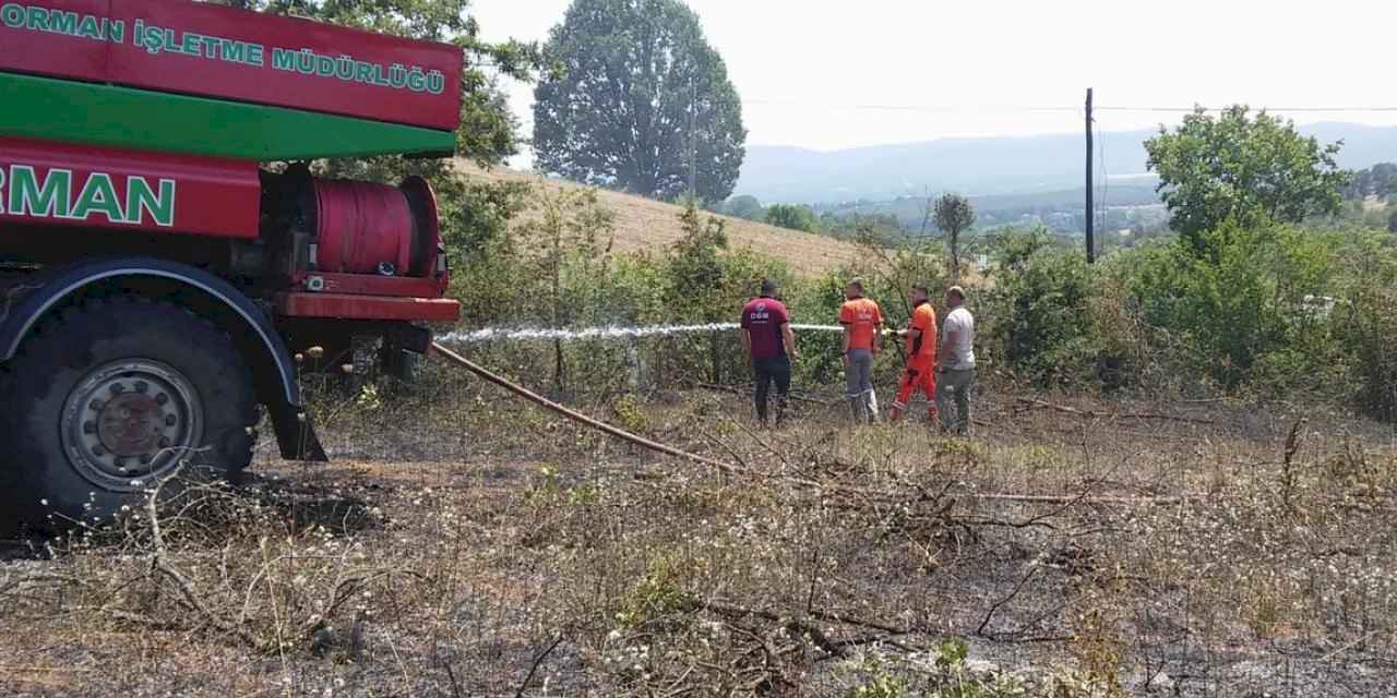 Bilecik’te arazi yangını! 1 kişi dumandan etkilendi