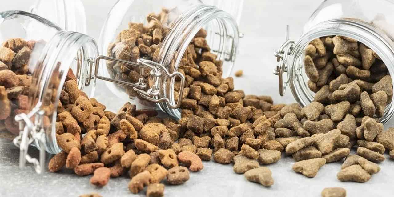 91 ülkedeki patili dostlar Türkiye'den beslendi