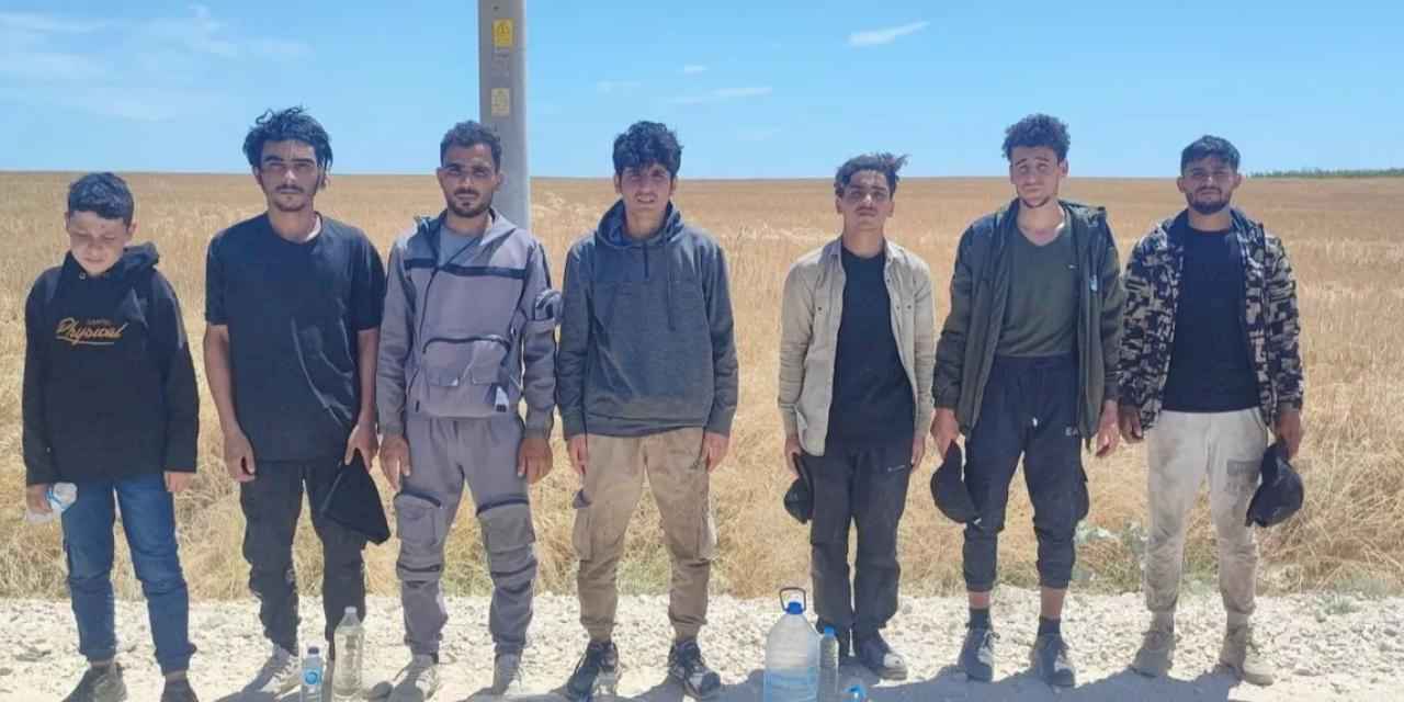 Edirne'de 7 Suriyeli yakalandı