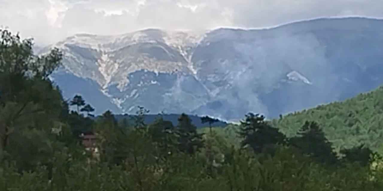 Keles'te orman yangını