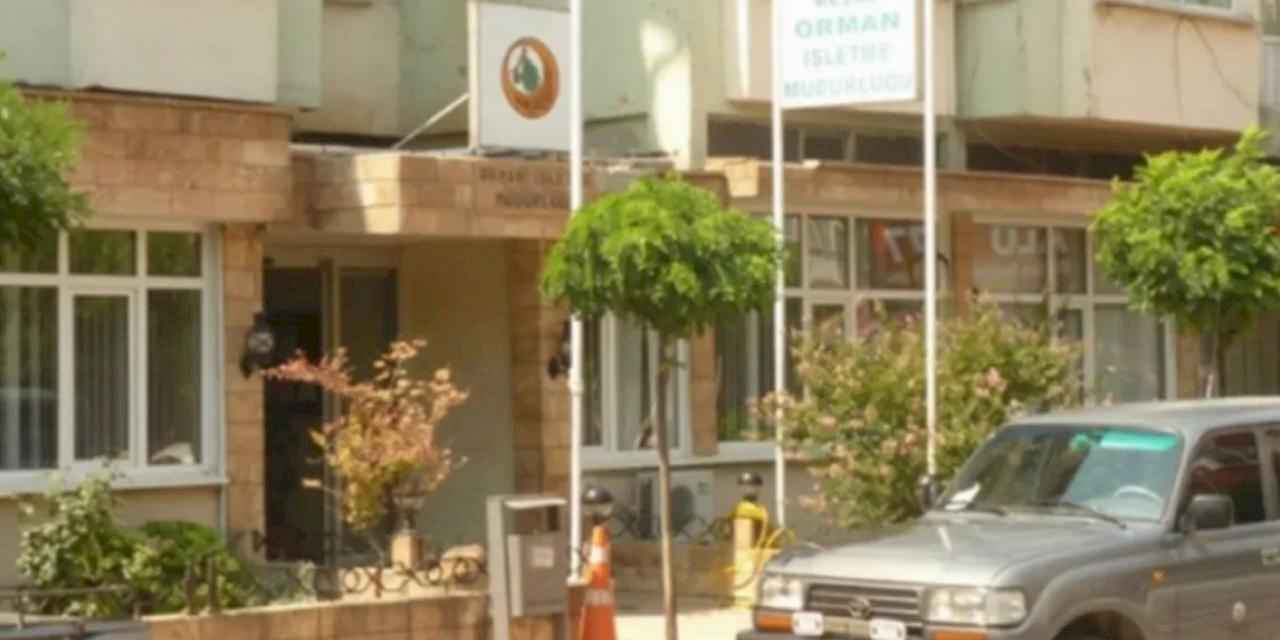 Orman İşletmesi Müdürlüğü’nün satış ihalesine katılan olmadı