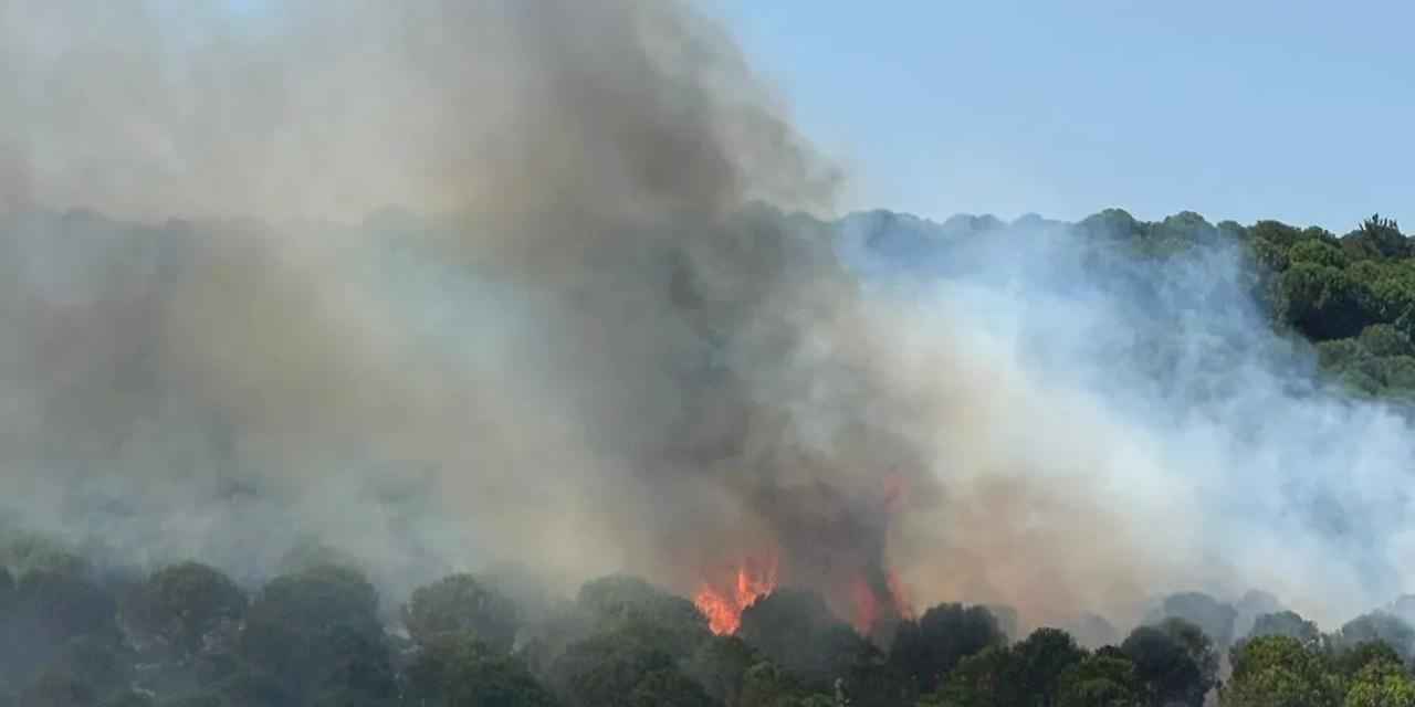 Yalova Armutlu'da iki ayrı noktada yangın! Müdahale sürüyor