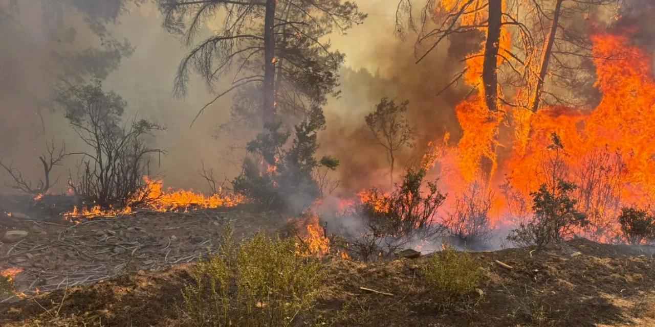 Bursa Orhaneli'deki orman yangını kontrol altında