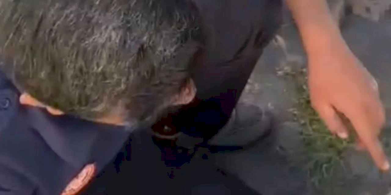 Büyükşehir İtfaiyesi, tehlikeye düşmüş tüm canlılara yardım elini uzatıyor