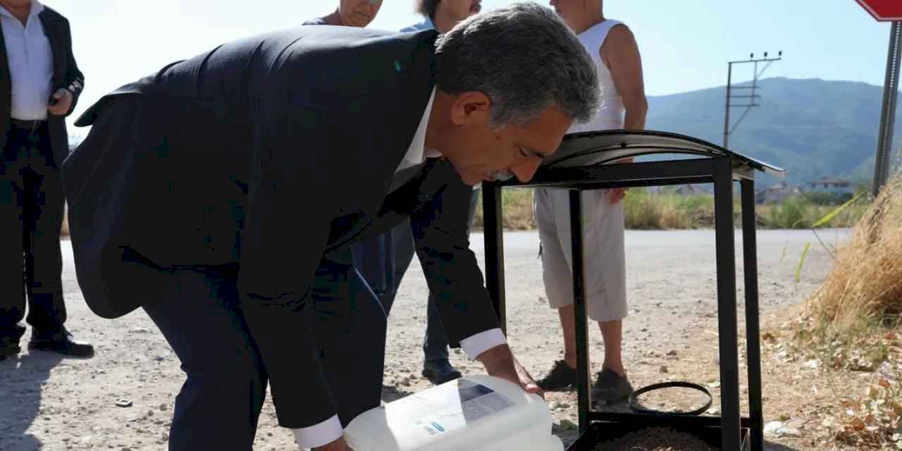 Bursa Gemlik'te sokaktaki canlara beslenme takviyesi