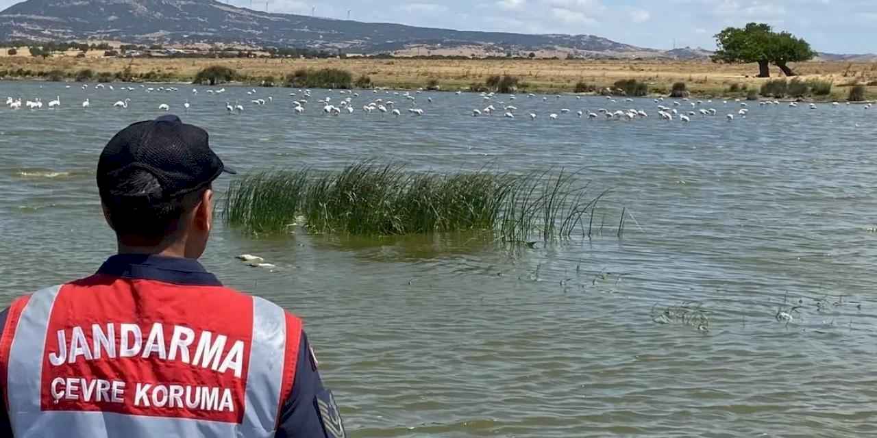 Edirne Jandarması Gala Gölü'nü koruyor