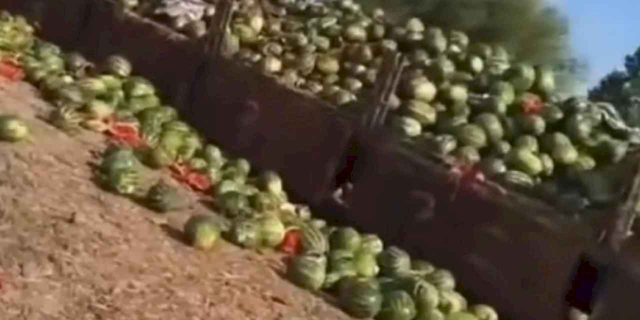 Bursa Karacabey'deki o görüntülere açıklama geldi