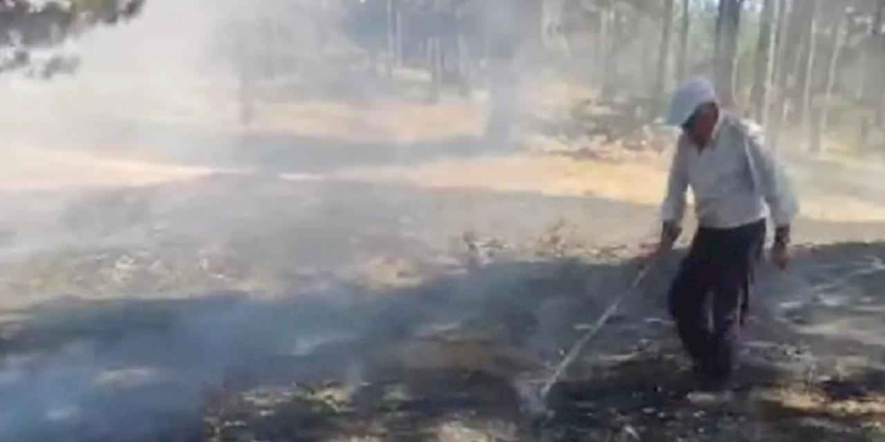 Bilecik'teki orman yangını korkuttu