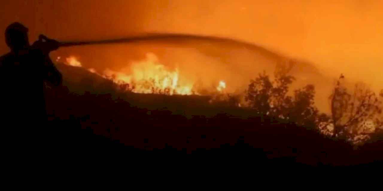 Ormanın Kahramanları 306 yangına müdahale etti