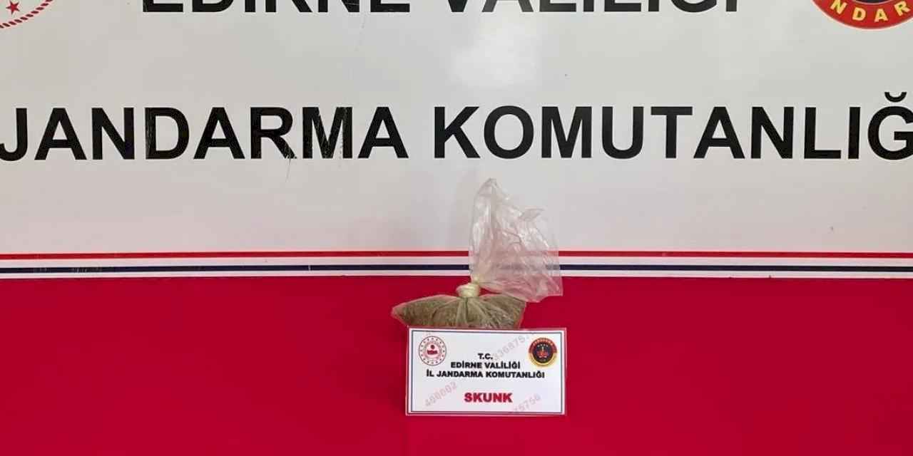 Edirne Keşan’da Skunk ele geçirildi