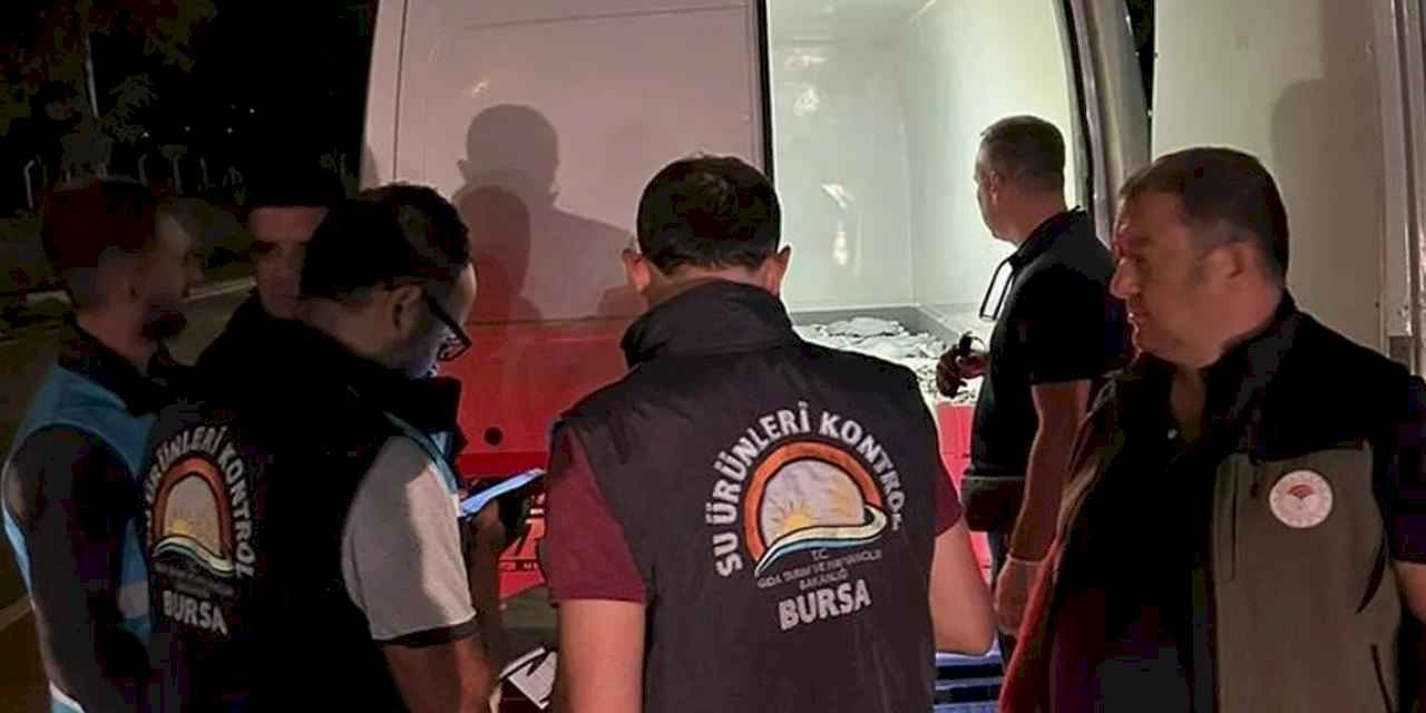 Bursa'da Balık Hali denetimleri sürüyor