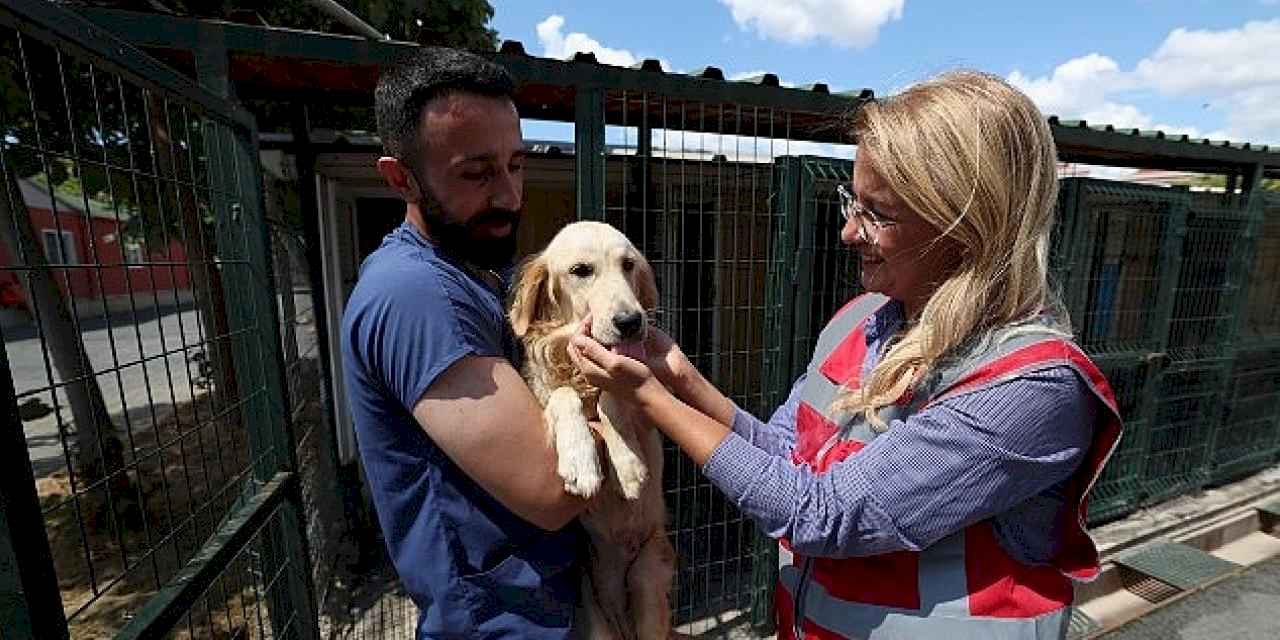 Bakırköy Belediyesi Can Dostlarının Yanında