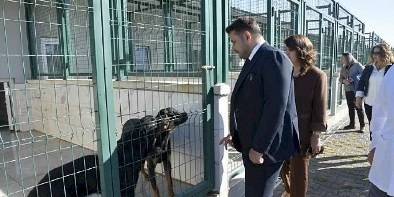 Patili Dostlara Miniklerden Ziyaret