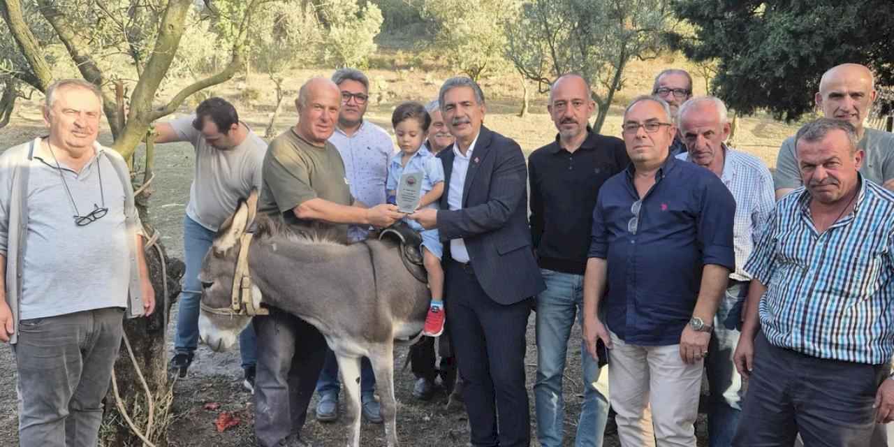 Bursa Gemlik'te festivalin renkli ismine ziyaret